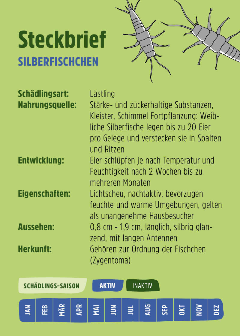 Silberfische Gel Silberfische Gel