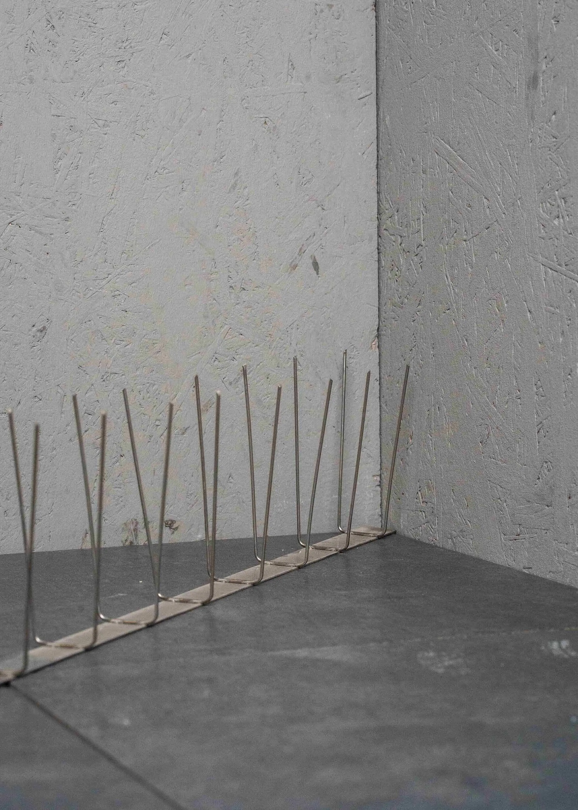 Taubenspikes2Reihig_2 Taubenabwehr Spikes | V2A | Edelstahl | 1 Meter