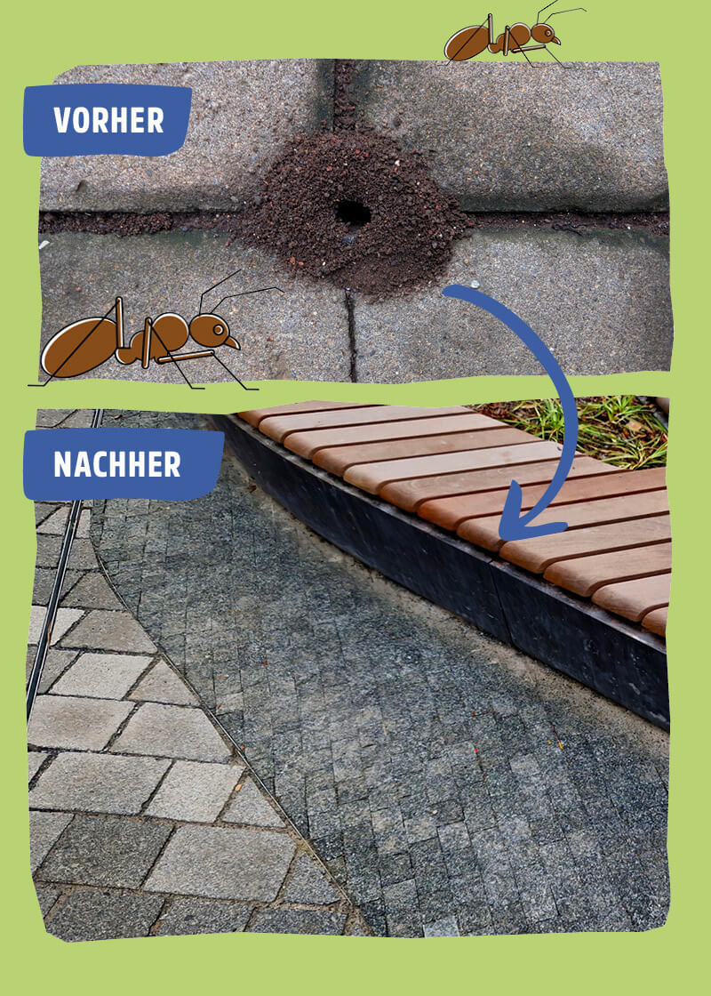 Ameisenköder Gel Ameisenköder Gel