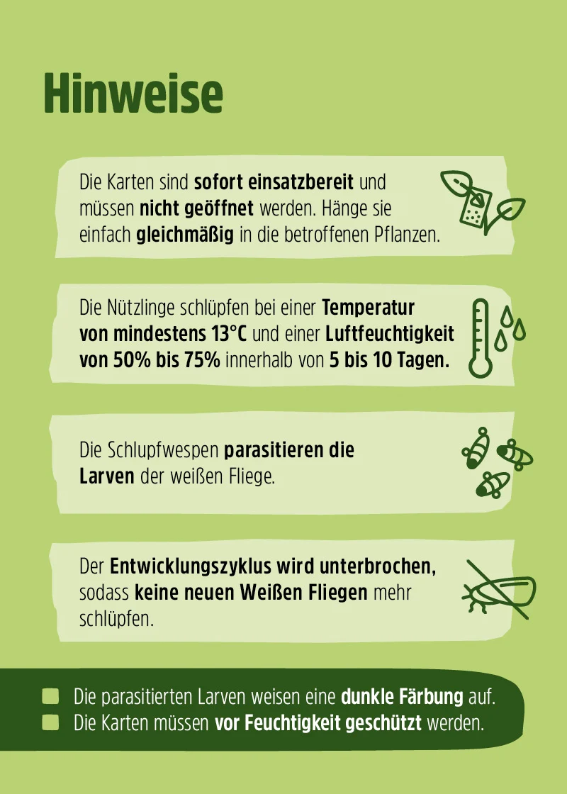 Schlupfwespen gegen Weiße Fliegen (Encarsia formosa) Schlupfwespen gegen Weiße Fliegen (Encarsia formosa)