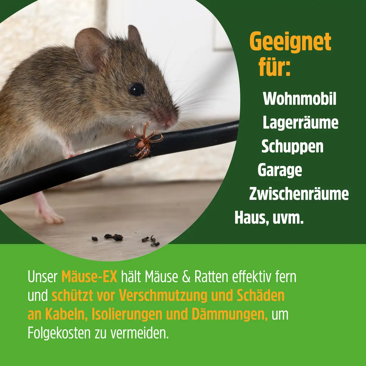 GreenHero® Mäuse-Ex Spray zur Mäuseabwehr GreenHero® Mäuse-Ex Spray zur Mäuseabwehr