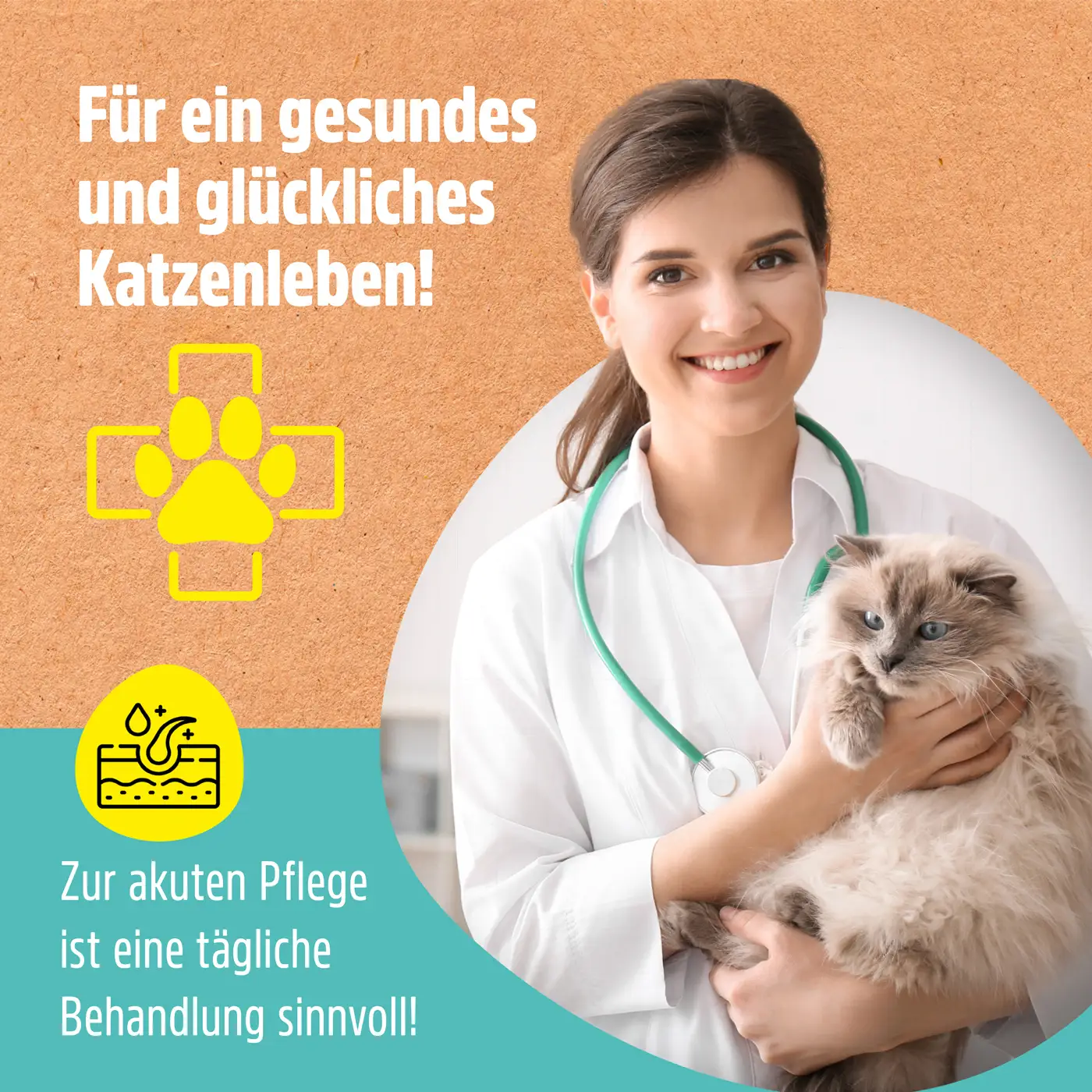 Ohrenwunder pflegt das Ohr bei Ohrenmilben