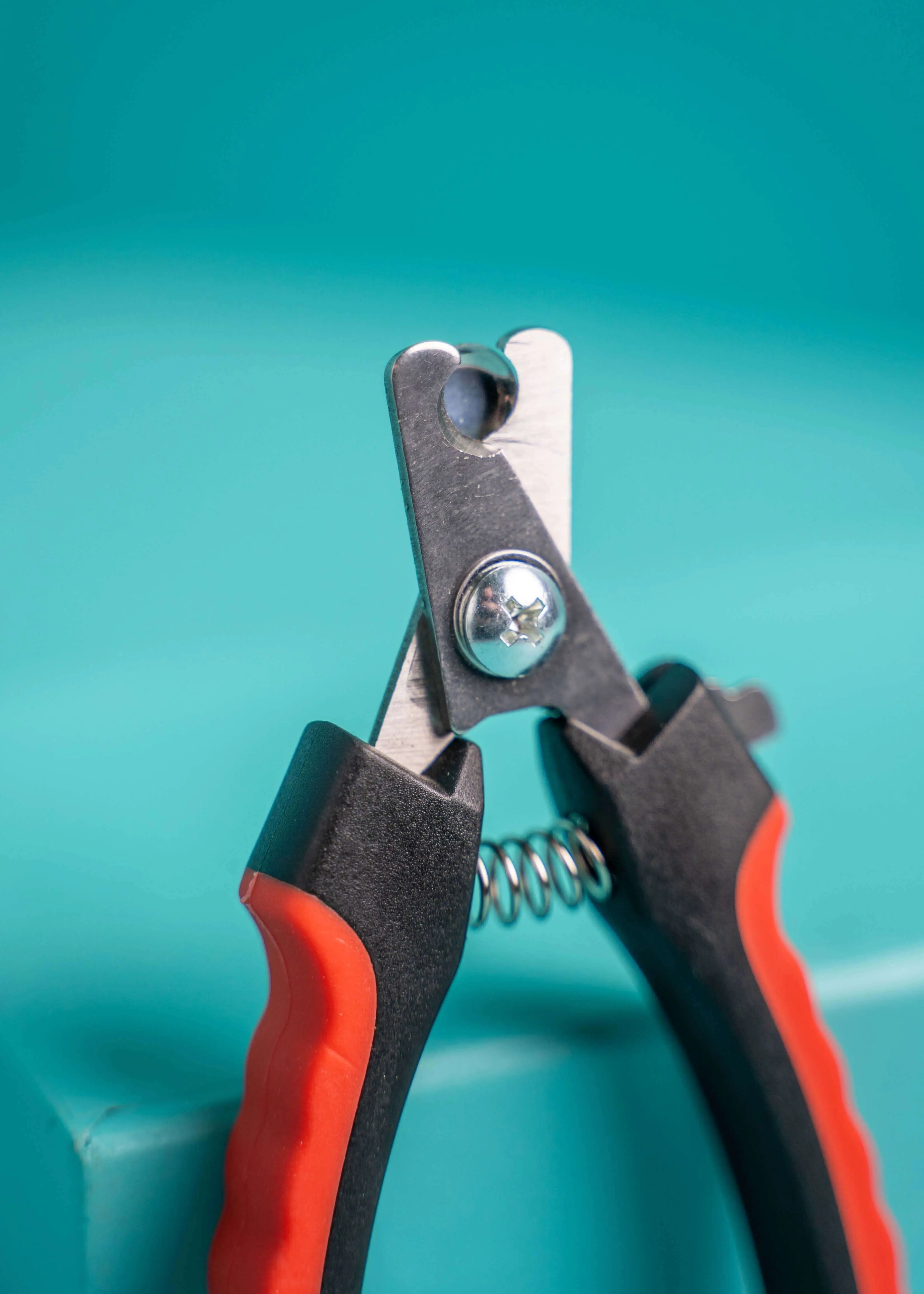 Krallenzange_02 Krallenschere für Hunde und Katzen