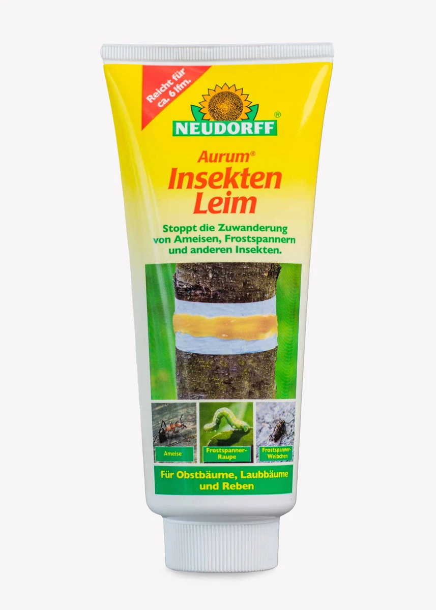 Aurum Insektenleim 125g