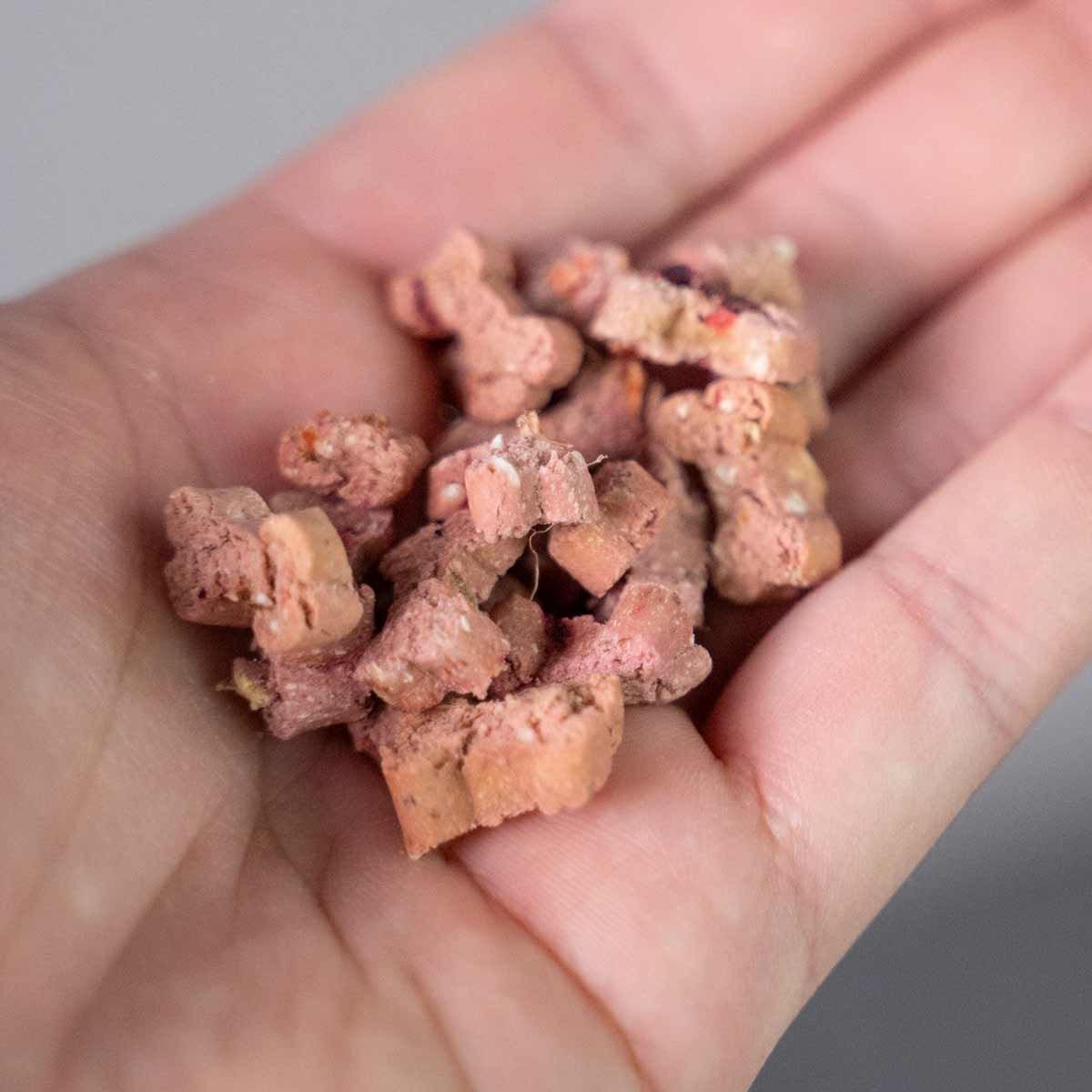 Green Hero Mini Boninos Wild – natürlicher Hunde Leckerli Green Hero Mini Boninos Wild – natürlicher Hunde Leckerli