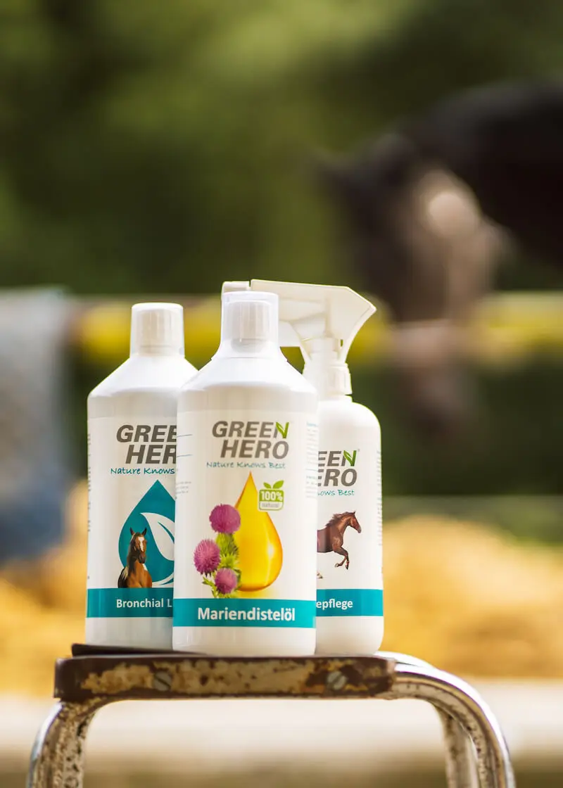 greenhero_pferde_lifestyle_04 Bronchial Liquid für Pferde mit Kräutern