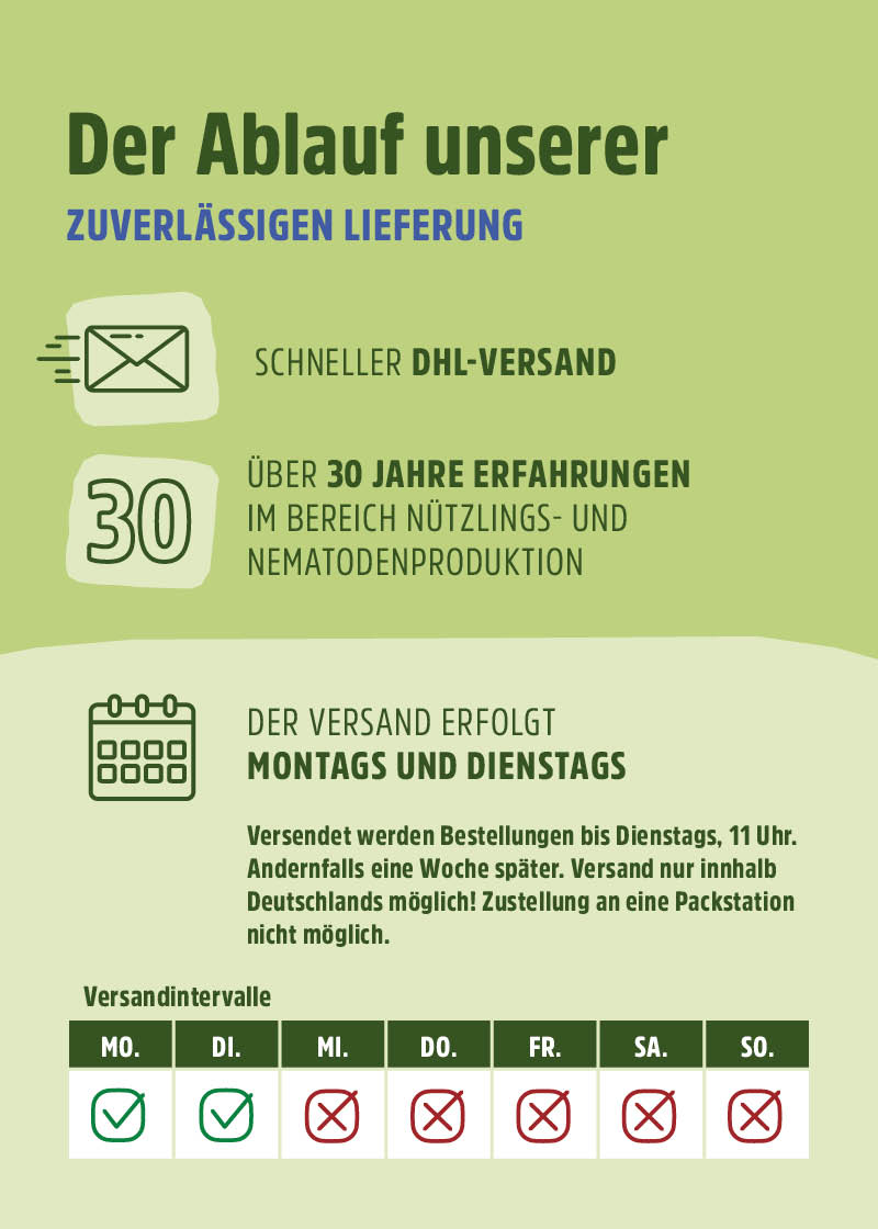 Schlupfwespen "Lagererzwespen" gegen Brotkäfer, Tabakkäfer, Kugelkäfer, Messingkäfer | biologisch Schlupfwespen "Lagererzwespen" gegen Brotkäfer, Tabakkäfer, Kugelkäfer, Messingkäfer | biologisch