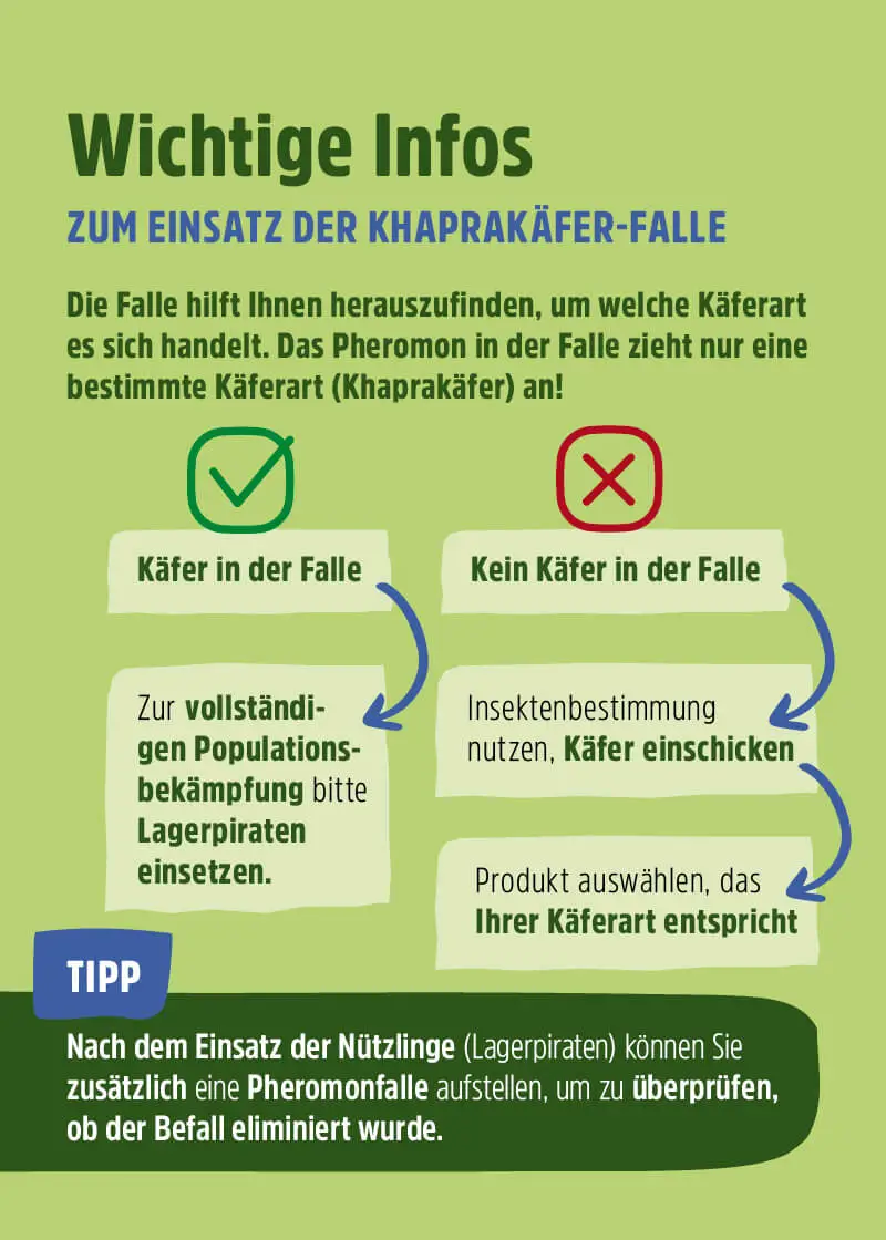 Speckkäfer | Khaprakäfer Pheromonfalle Speckkäfer | Khaprakäfer Pheromonfalle