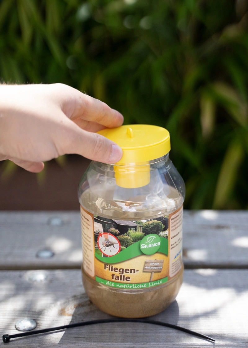 DSC09982_Edit Silence Fliegenfalle