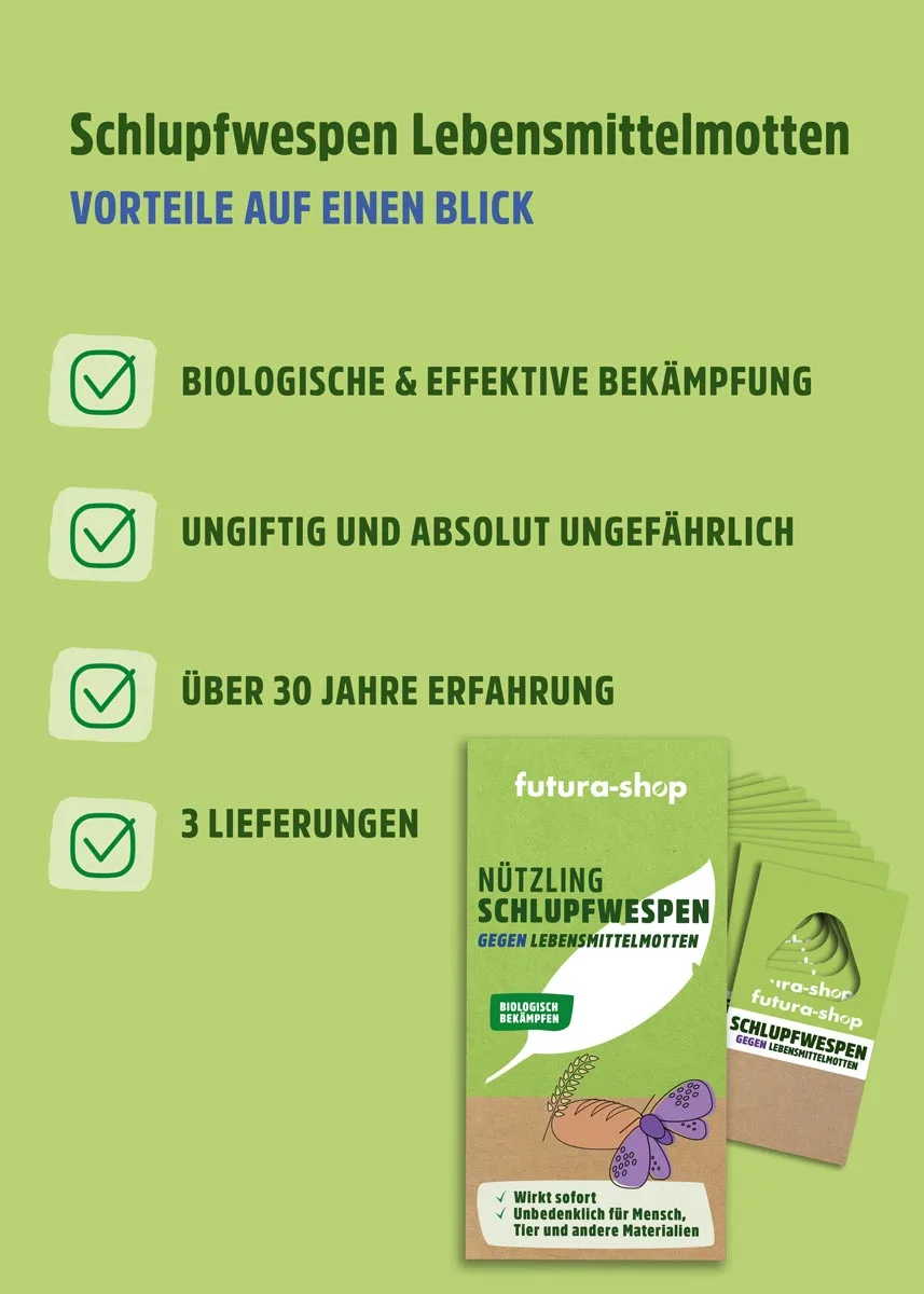 Schlupfwespen gegen Lebensmittelmotten Schlupfwespen gegen Lebensmittelmotten