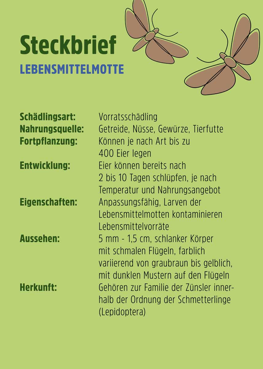 Lebensmittelmotte Pheromonfalle 3 Klebeflächen Lebensmittelmotte Pheromonfalle 3 Klebeflächen