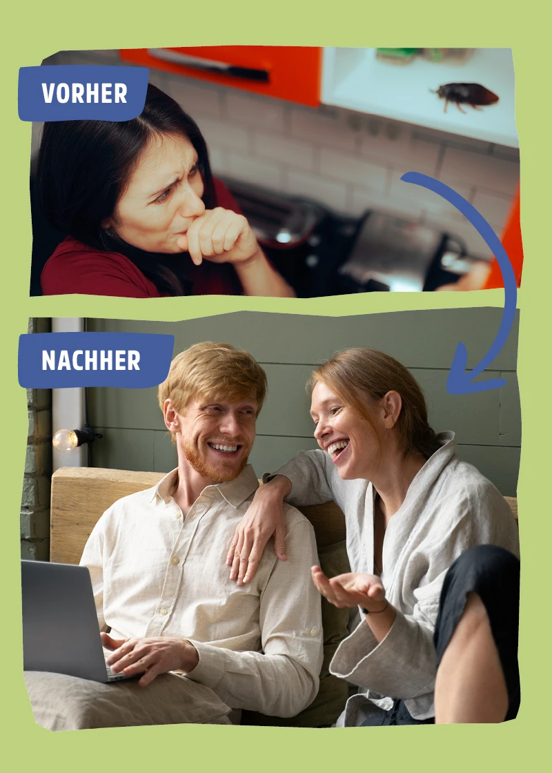 Insektenspray | Stoppt den Befall Insektenspray | Stoppt den Befall