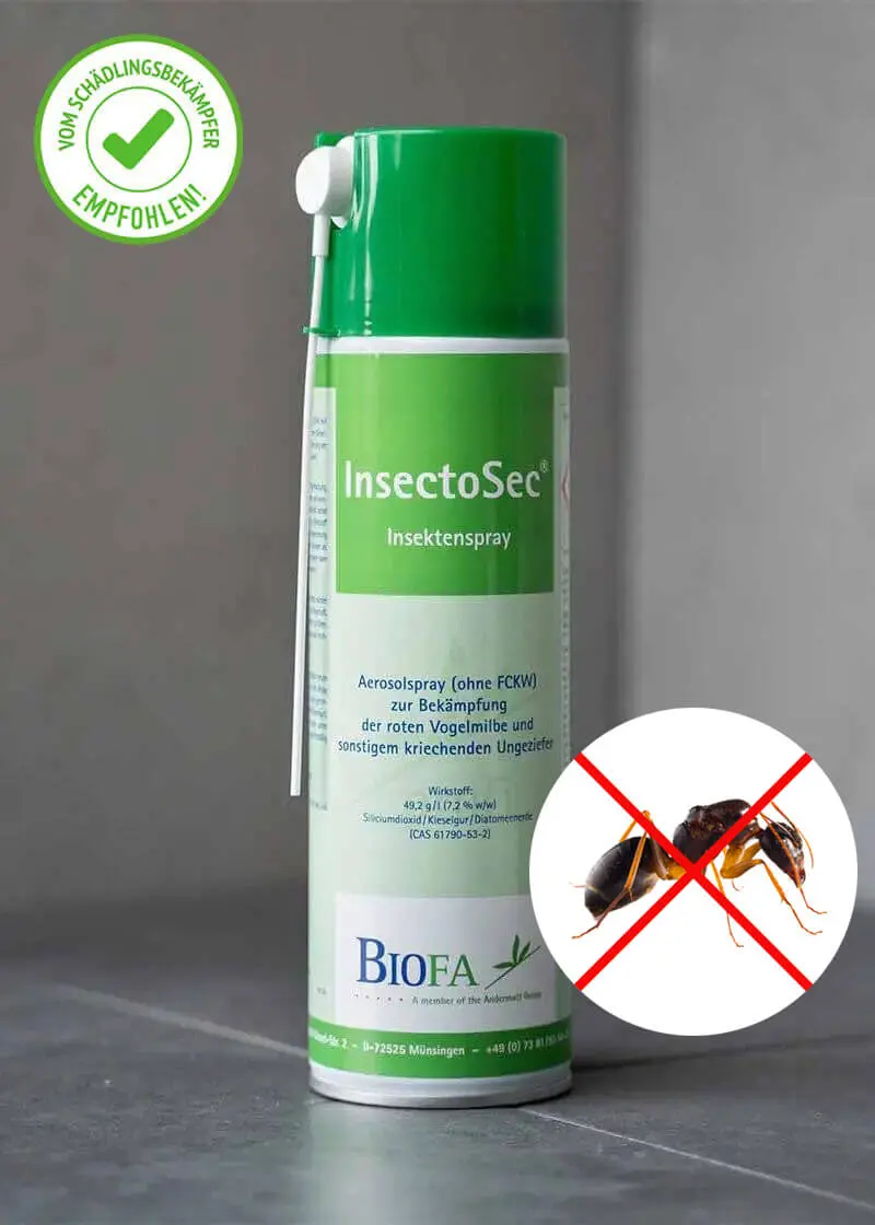 Insektenspray G gegen Milben, Silberfische, Ameisen und andere kriechende Insekten