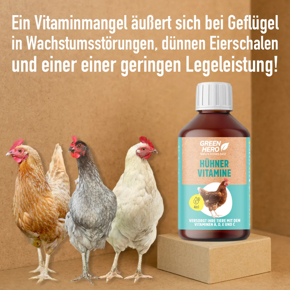 Hühner Vitamine | unterstützt Wachstum und Schalenbildung Hühner Vitamine | unterstützt Wachstum und Schalenbildung