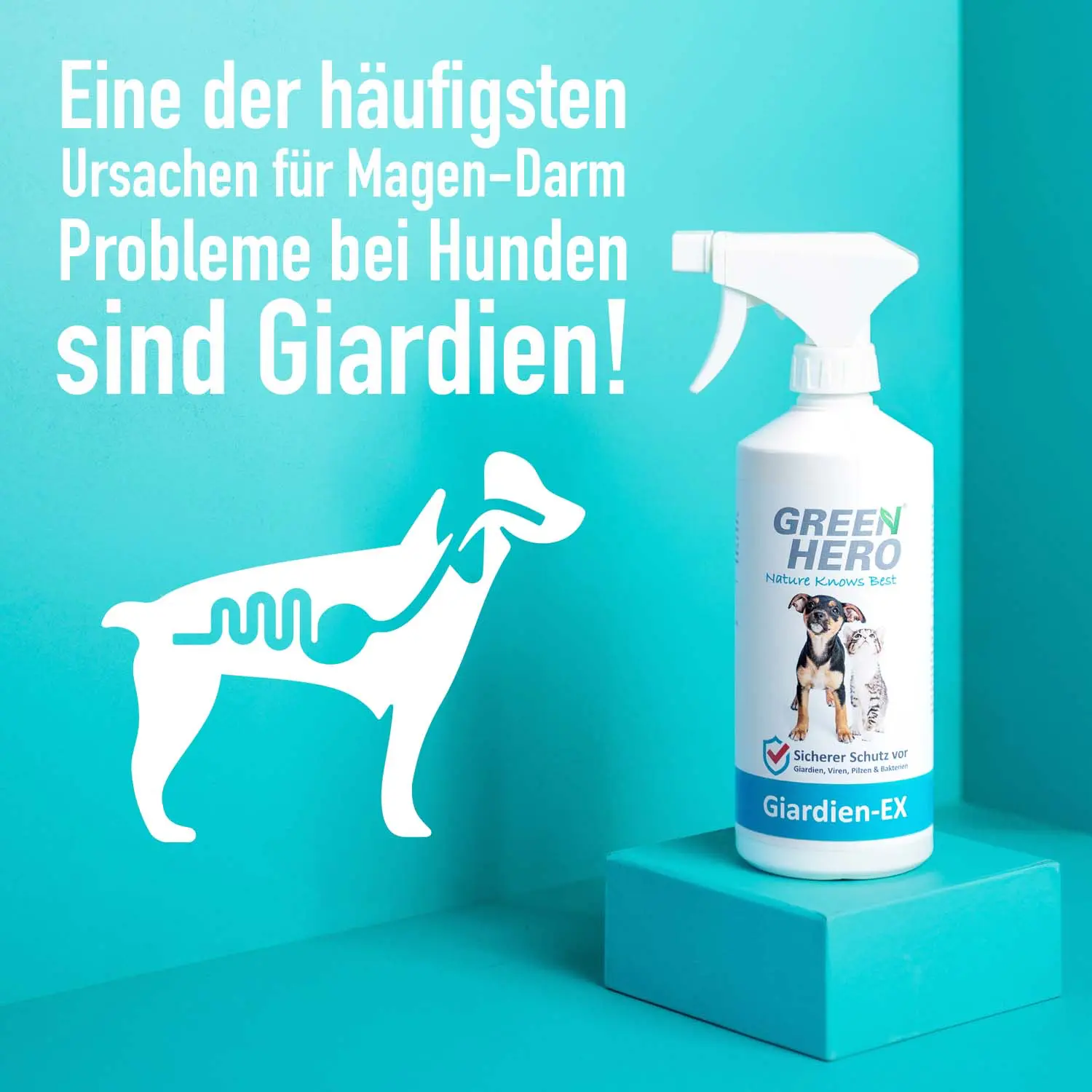 Giardien-Ex Spray gegen Giardien, Bakterien, Viren und Pilze