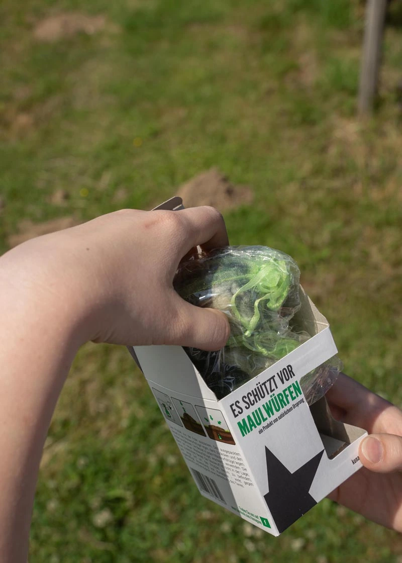 02_DSC06548 Maulwurfschreck