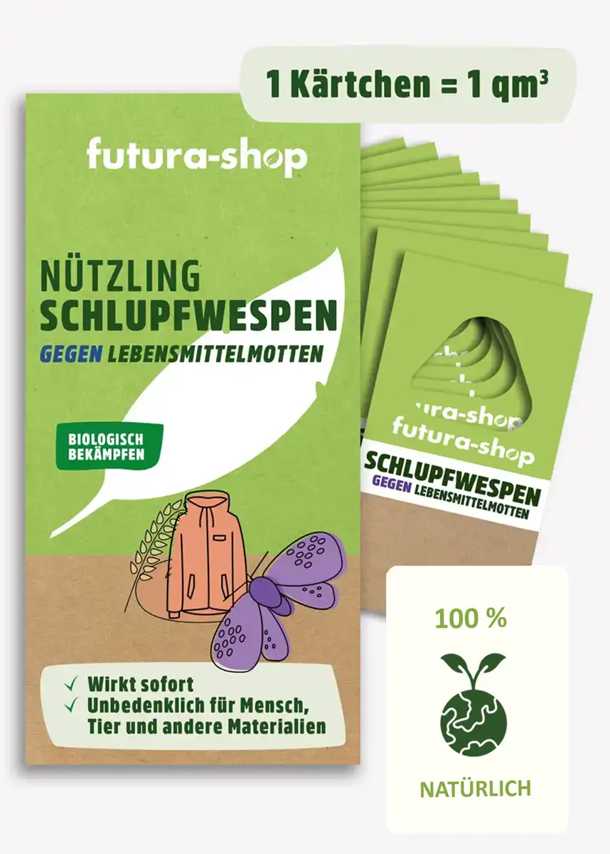 Schlupfwespen gegen Lebensmittelmotten