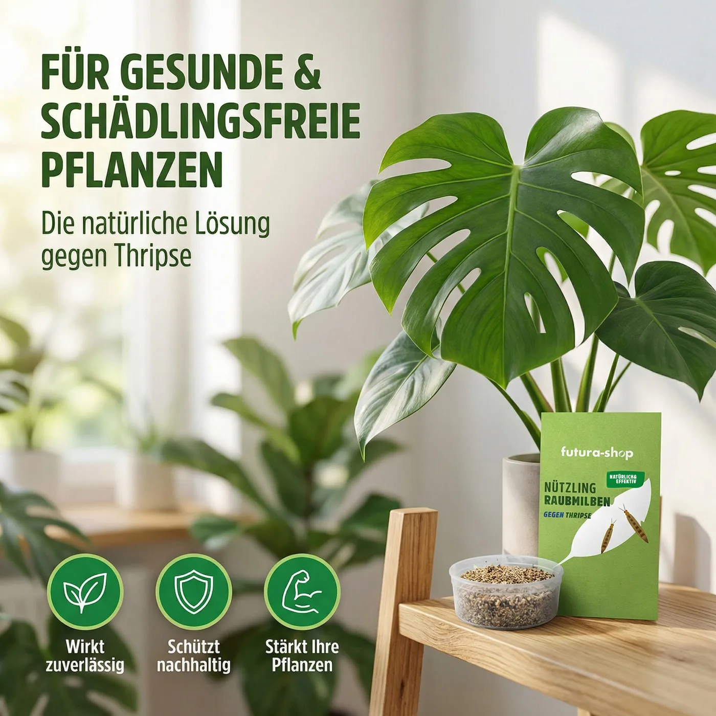 Raubmilben gegen Thripse