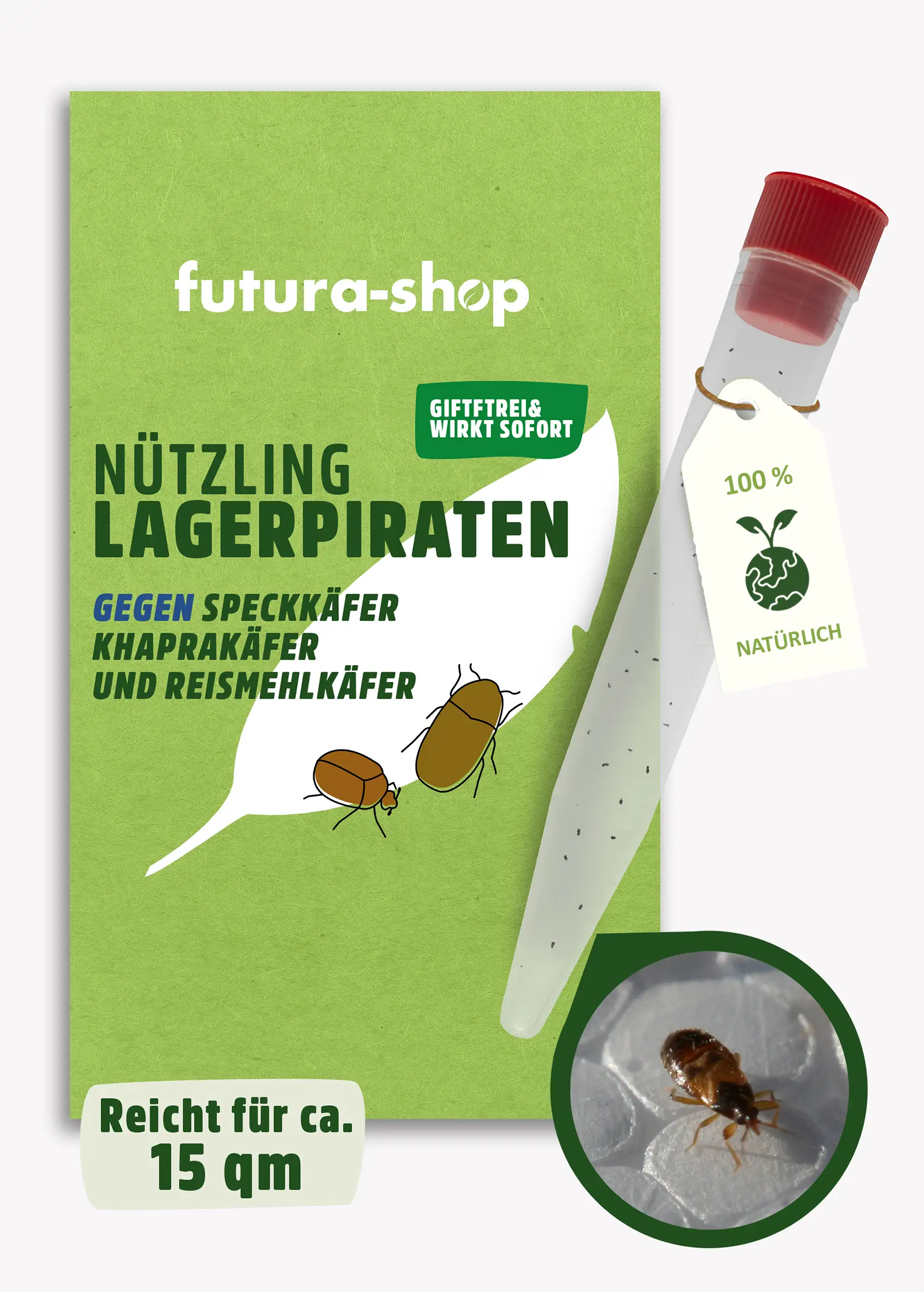 Nützling "Lagerpiraten" gegen Speckkäfer, Khaprakäfer und Reismehlkäfer | biologisch bekämpfen