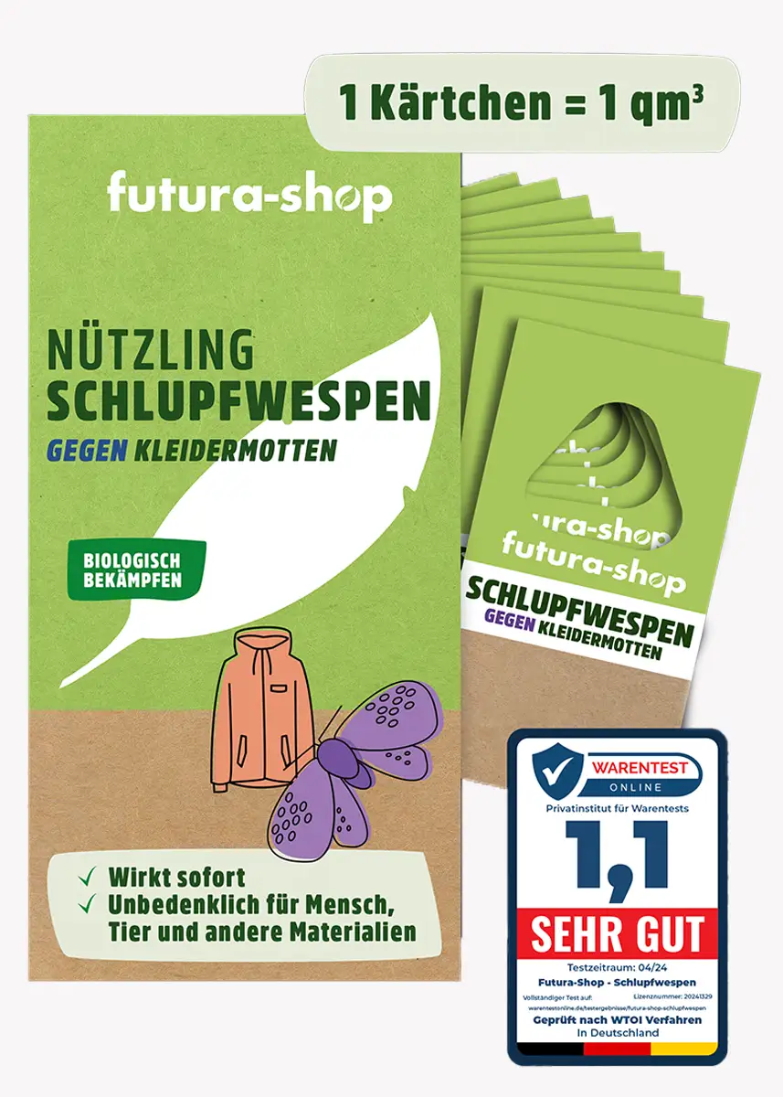Schlupfwespen gegen Kleidermotten