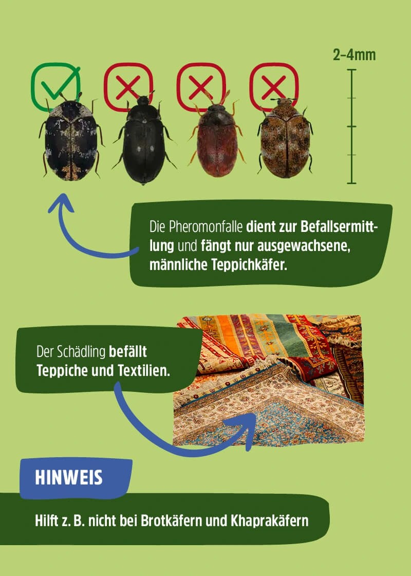 Teppichkäfer Pheromonfalle Teppichkäfer Pheromonfalle