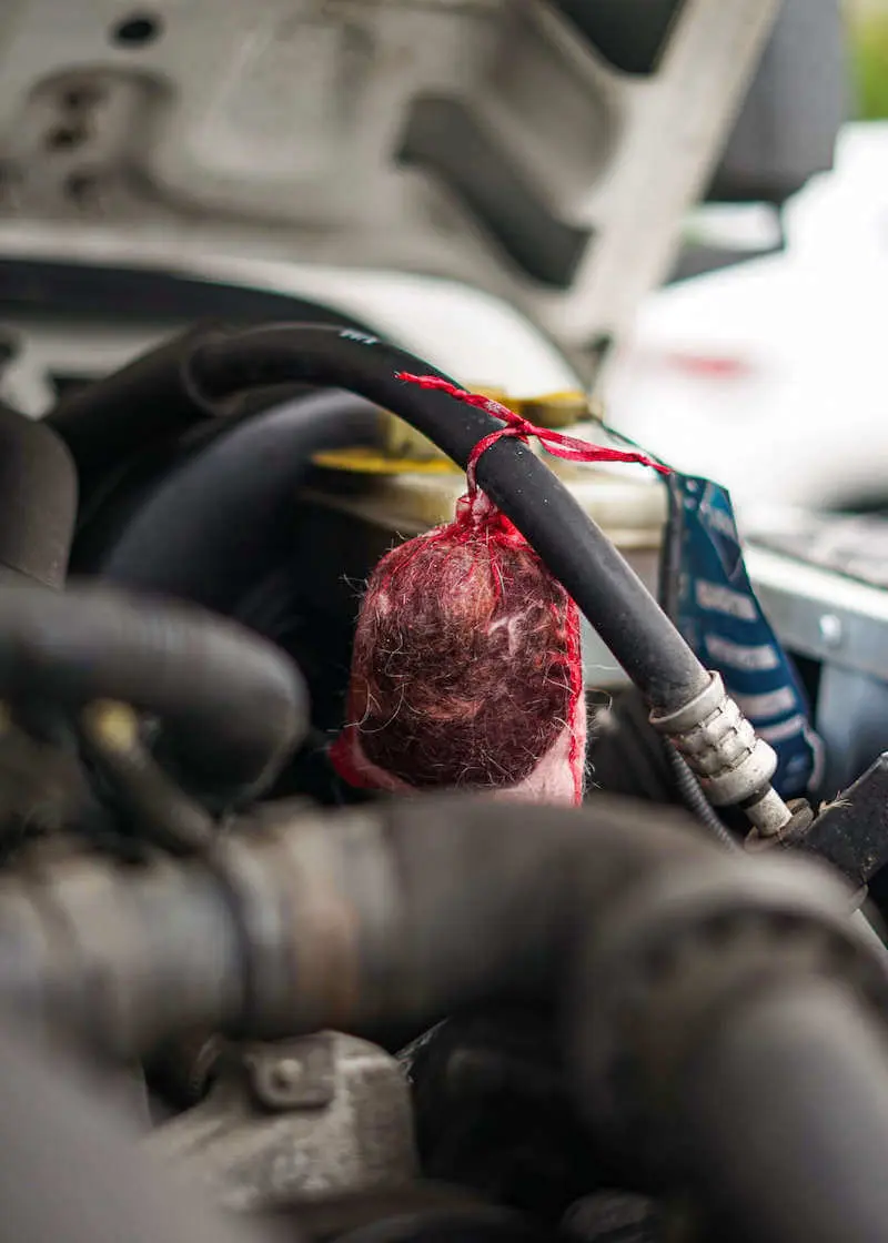 Marderschreck-4 Greenhero Marderschreck zur Marder Abwehr in Auto, Haus und Garage