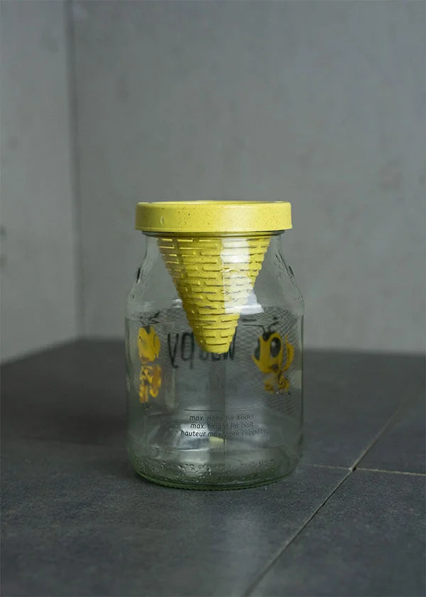 Natürliche Wespen Lebendfalle / Wespenfänger aus Glas