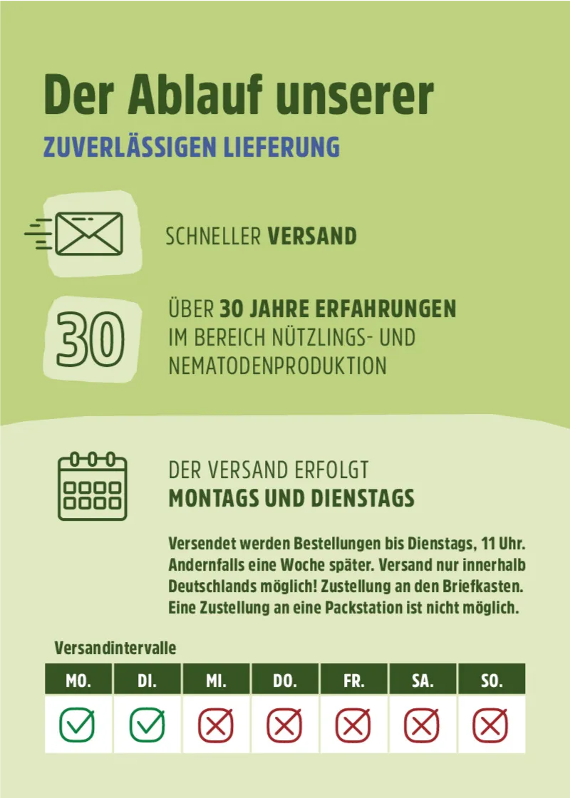 Nützling "Lagerpiraten" gegen Speckkäfer, Khaprakäfer und Reismehlkäfer | biologisch bekämpfen Nützling "Lagerpiraten" gegen Speckkäfer, Khaprakäfer und Reismehlkäfer | biologisch bekämpfen