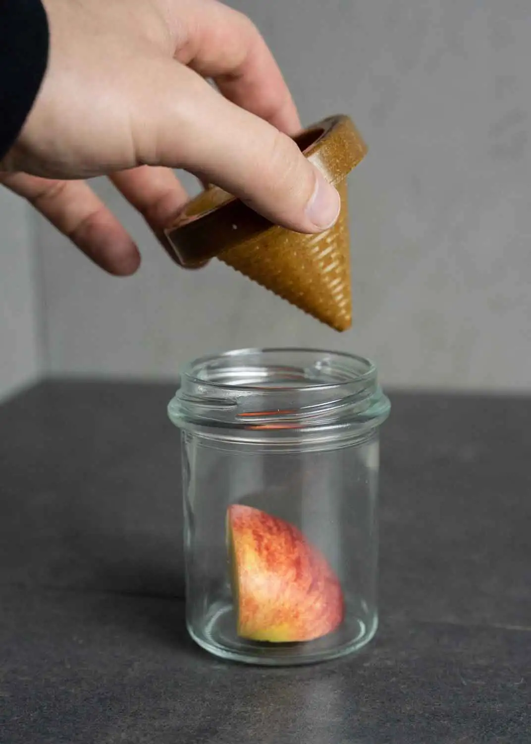 Fruchtfliegen-Lebendfalle5 Natürliche Fruchtfliegen Lebendfalle