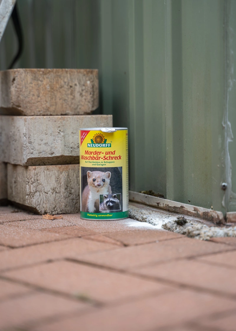 DSC06806_Edit Marder- und Waschbär-Schreck