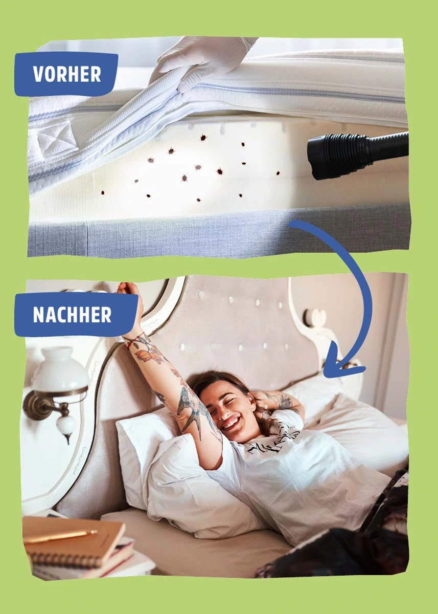 Bettwanzenspray - Effektive Abwehr & Langzeitschutz Bettwanzenspray - Effektive Abwehr & Langzeitschutz
