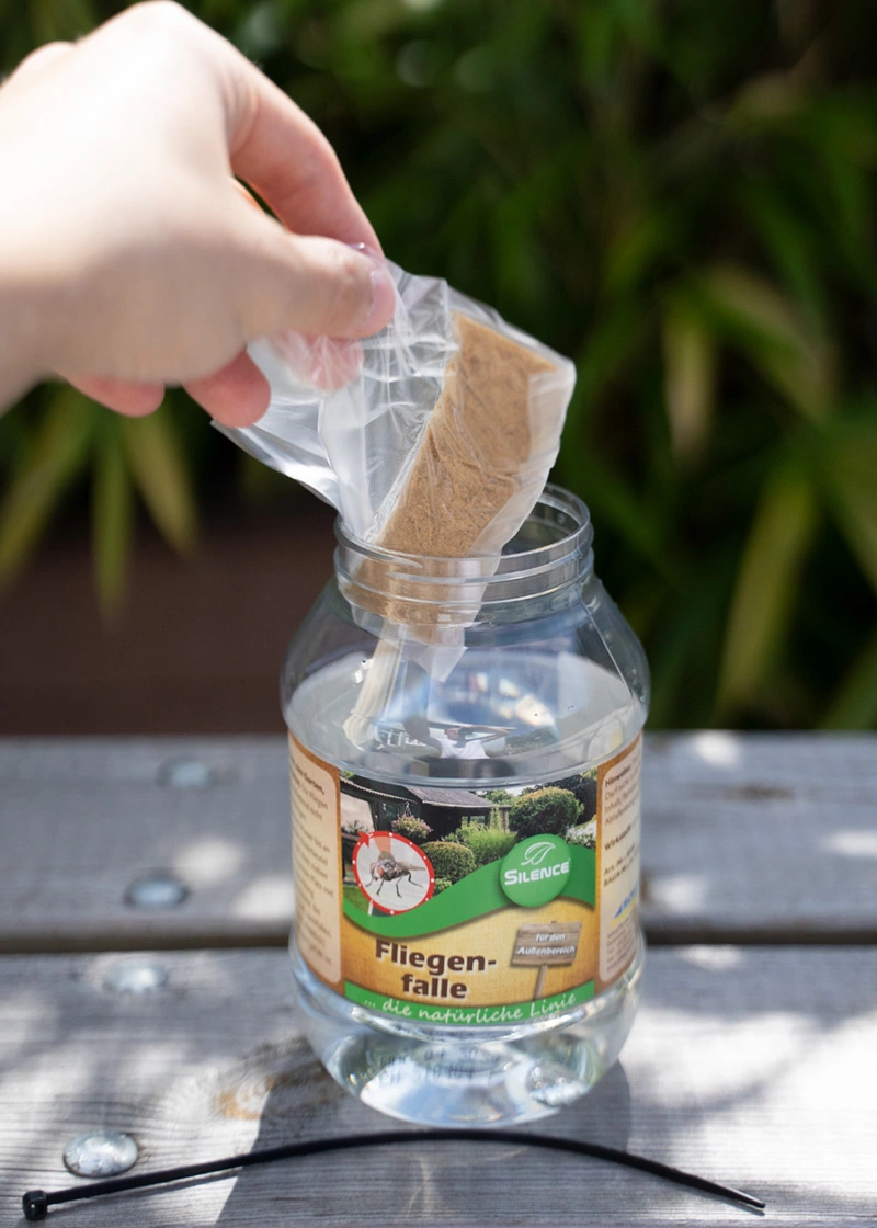 DSC09979_Edit Silence Fliegenfalle