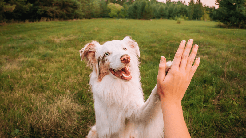 startseite-kachel-unten-rechts startseite-kachel-unten-rechts