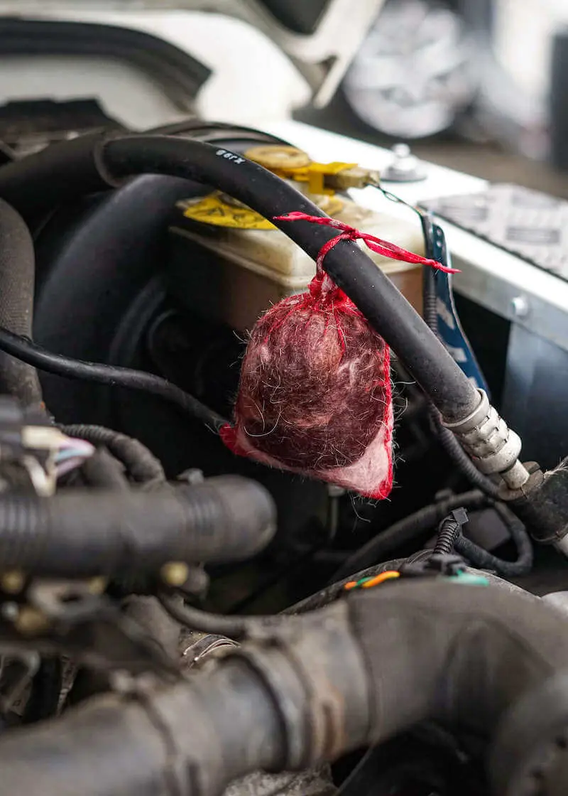 Marderschreck-3 Greenhero Marderschreck zur Marder Abwehr in Auto, Haus und Garage