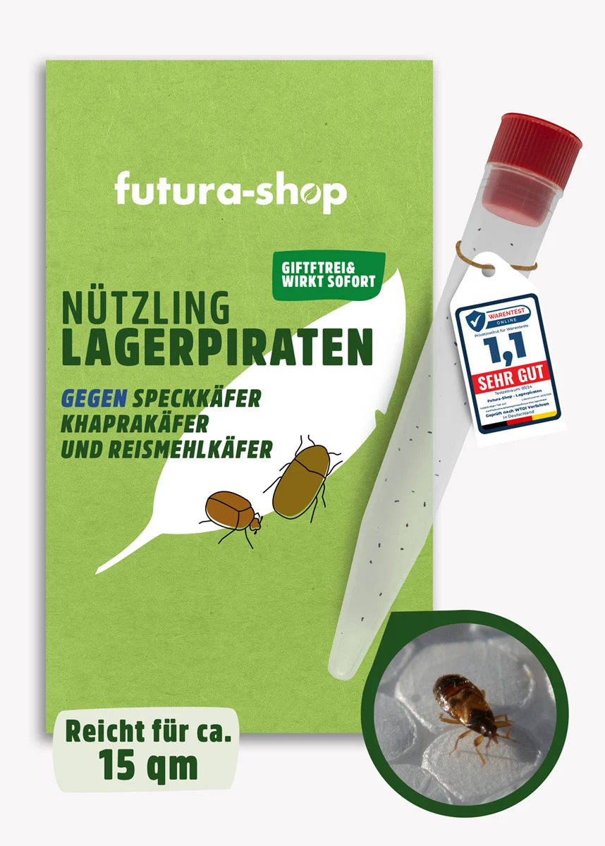 Nützling "Lagerpiraten" gegen Speckkäfer, Khaprakäfer und Reismehlkäfer | biologisch bekämpfen