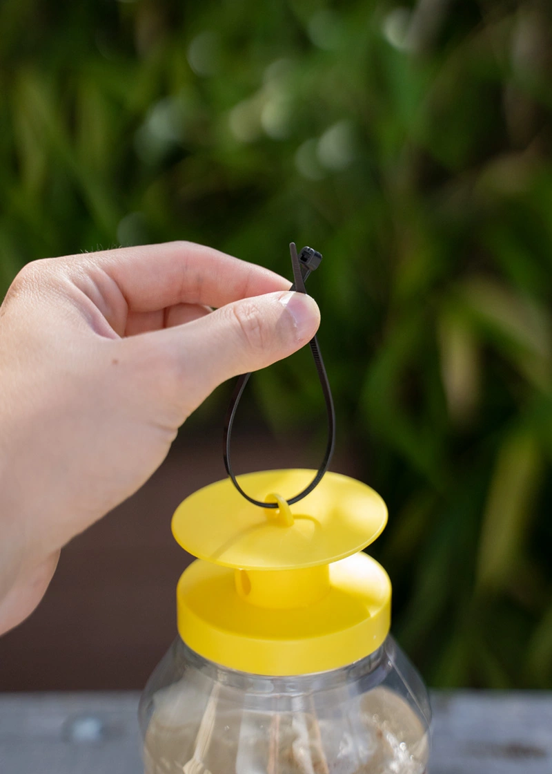 DSC09986_Edit Silence Fliegenfalle