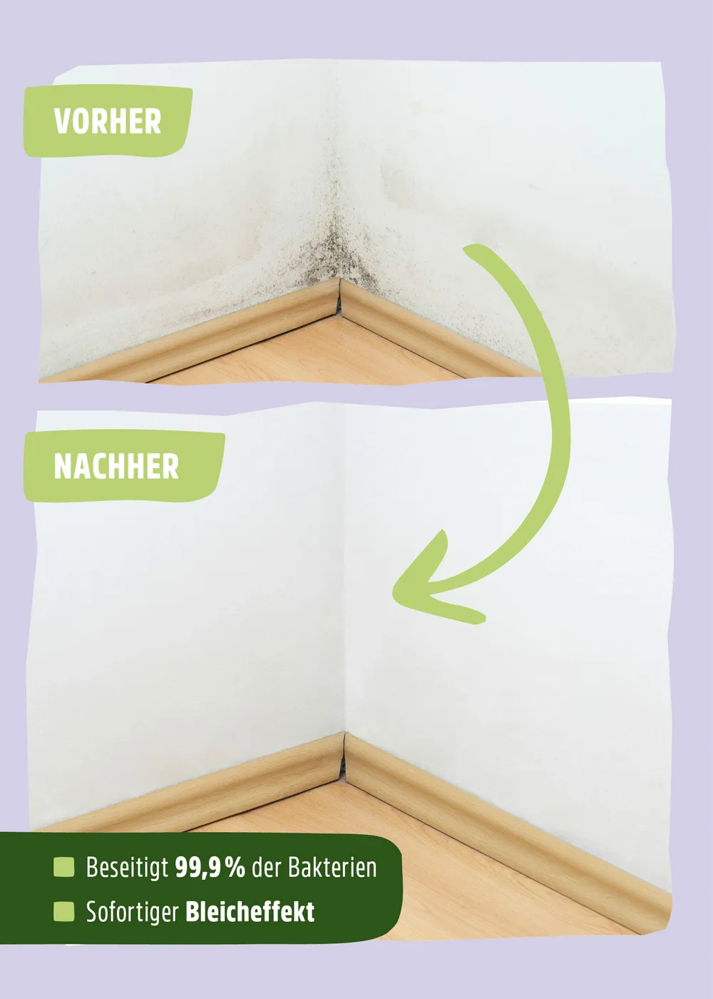 Schimmelentferner Chlorfrei Schimmelentferner Chlorfrei