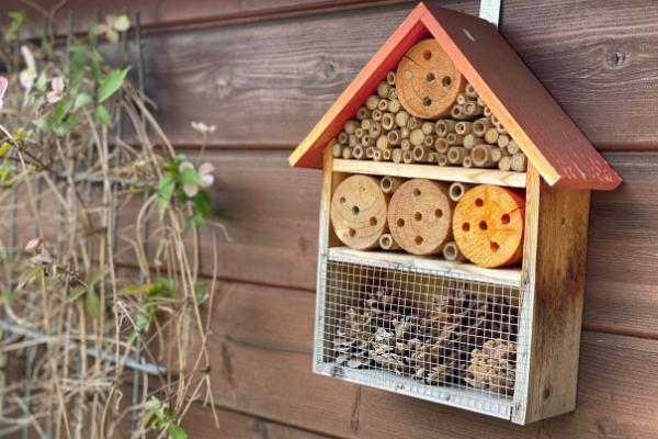 insektenhotel