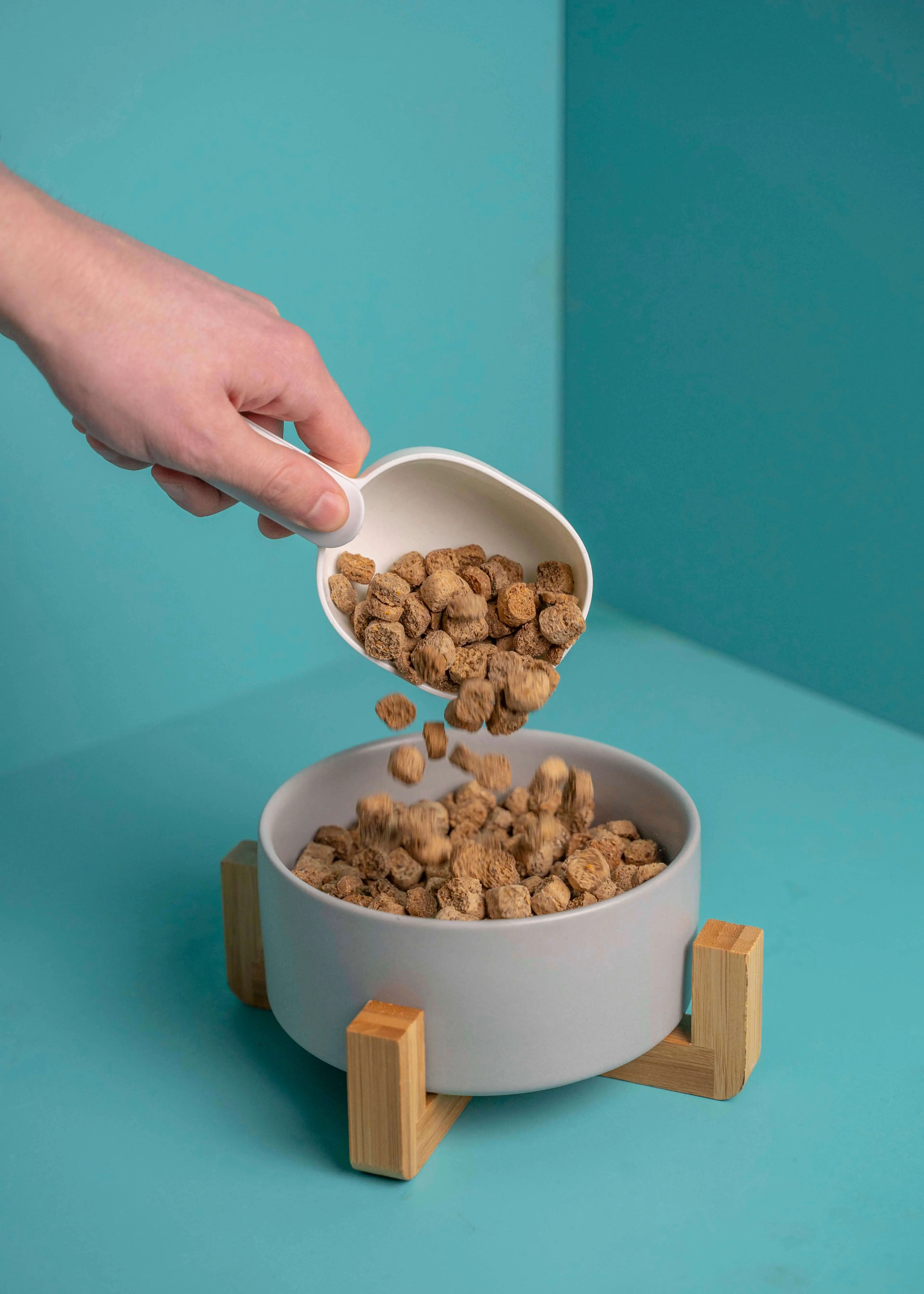 greenhero_Hundenapf_Befullen Futternapf mit dekorativem Holzfuß | grau