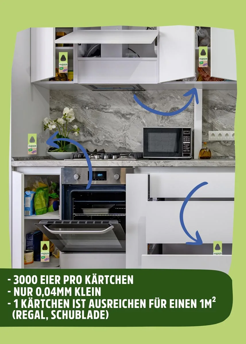 Schlupfwespen gegen Lebensmittelmotten Schlupfwespen gegen Lebensmittelmotten