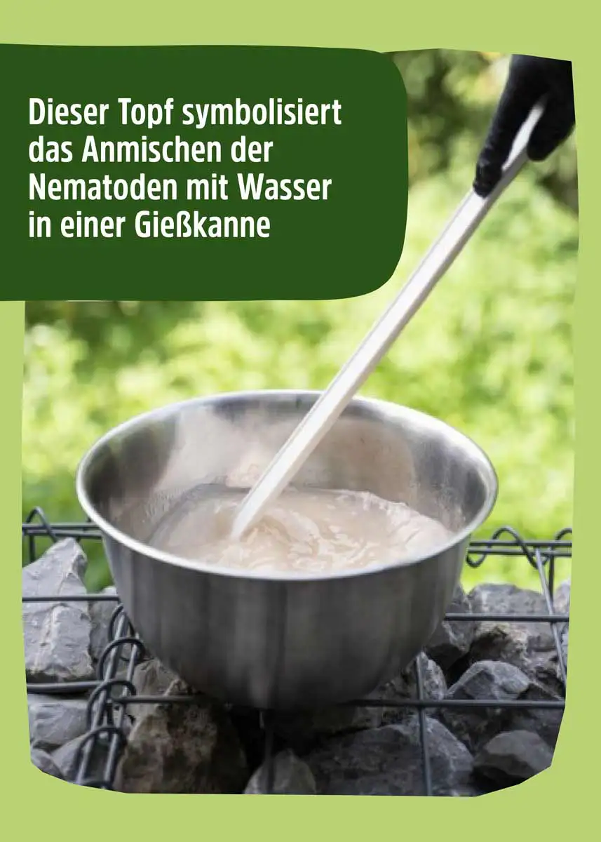 SC Nematoden gegen Maulwurfsgrille SC Nematoden gegen Maulwurfsgrille