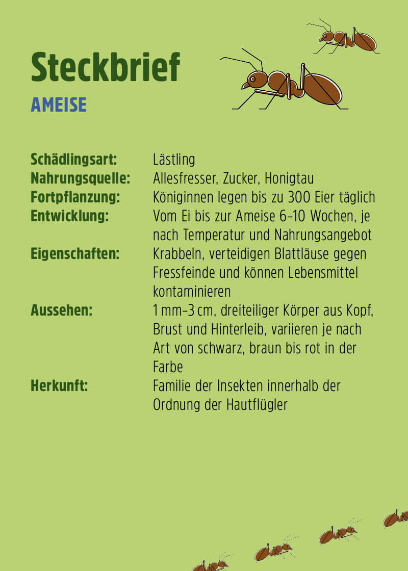 Ameisenköder Gel Ameisenköder Gel