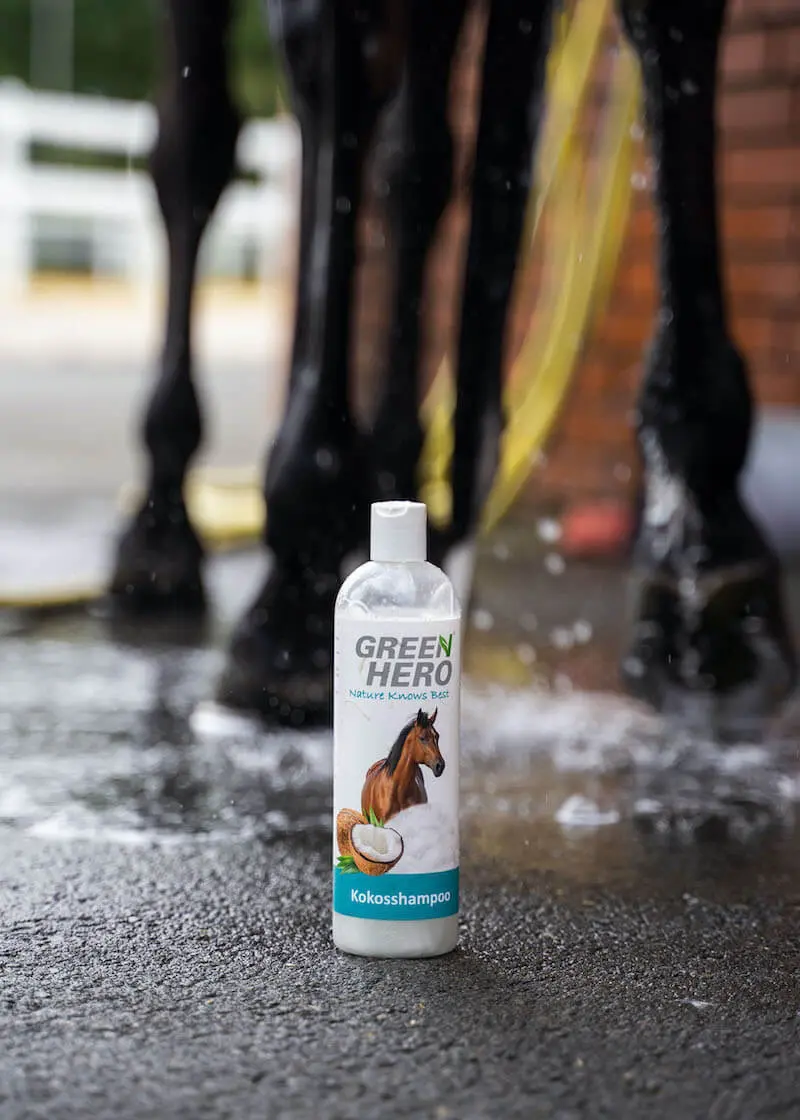 Kokosshampoo13 Pferdeshampoo Kokos