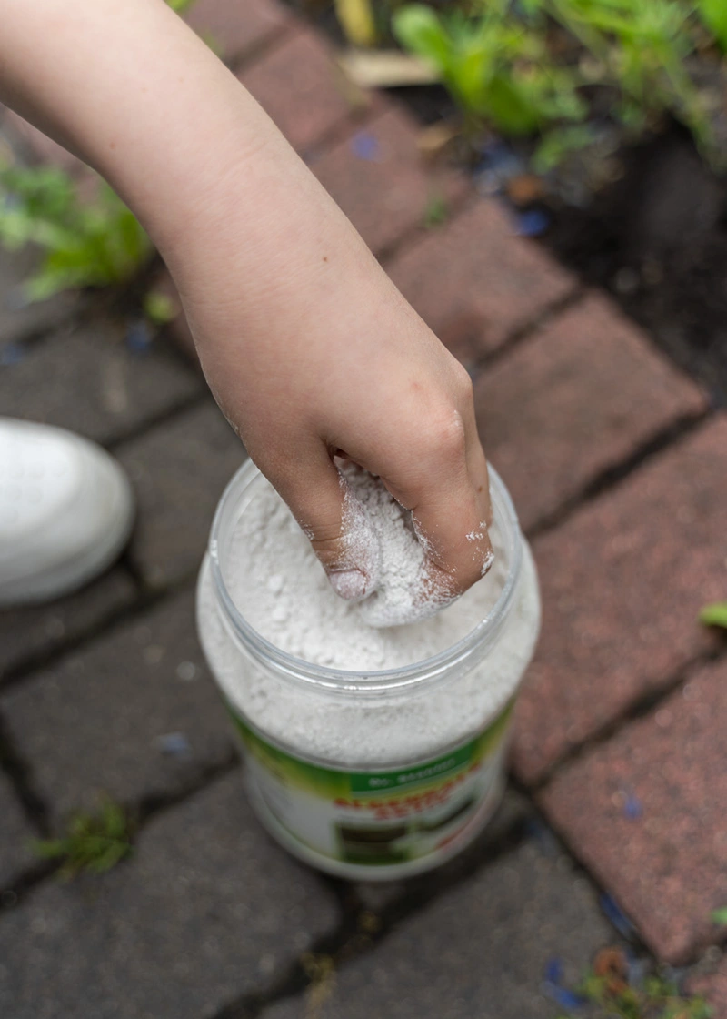 DSC00418_Edit Algenkalk | natürliches Düngemittel