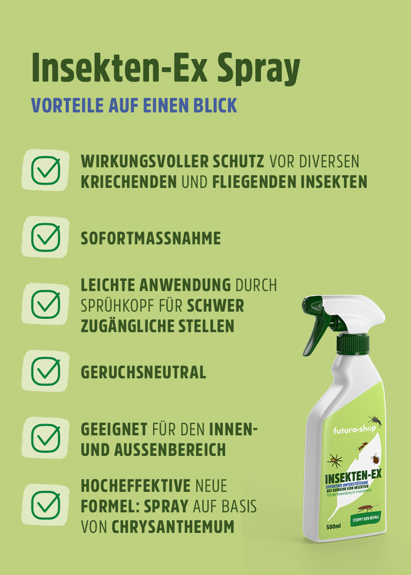 Insektenspray | Stoppt den Befall Insektenspray | Stoppt den Befall