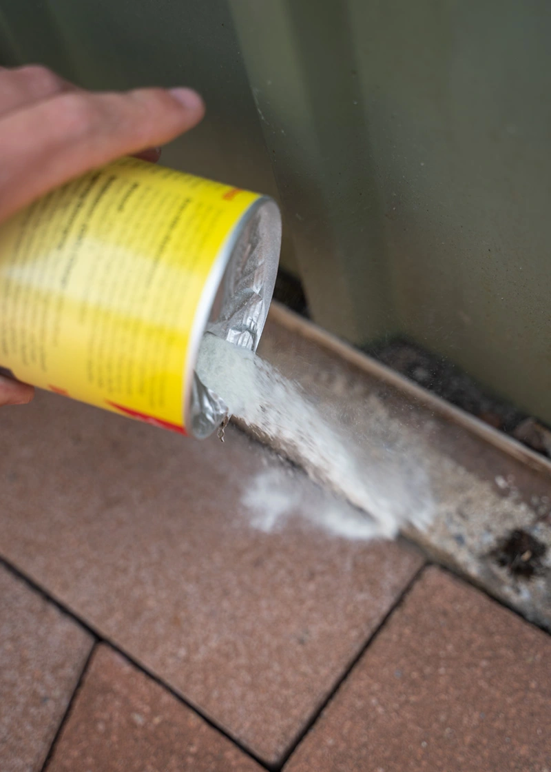 DSC06801_Edit Marder- und Waschbär-Schreck