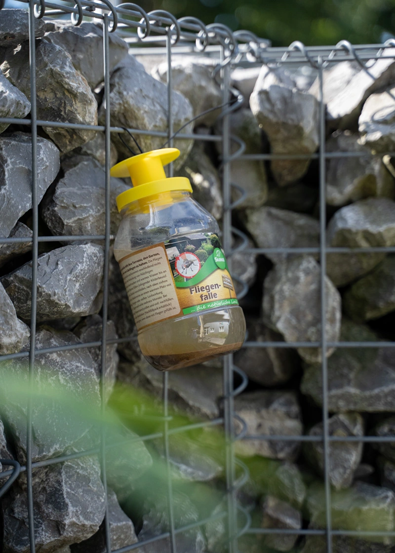 DSC09990_Edit Silence Fliegenfalle