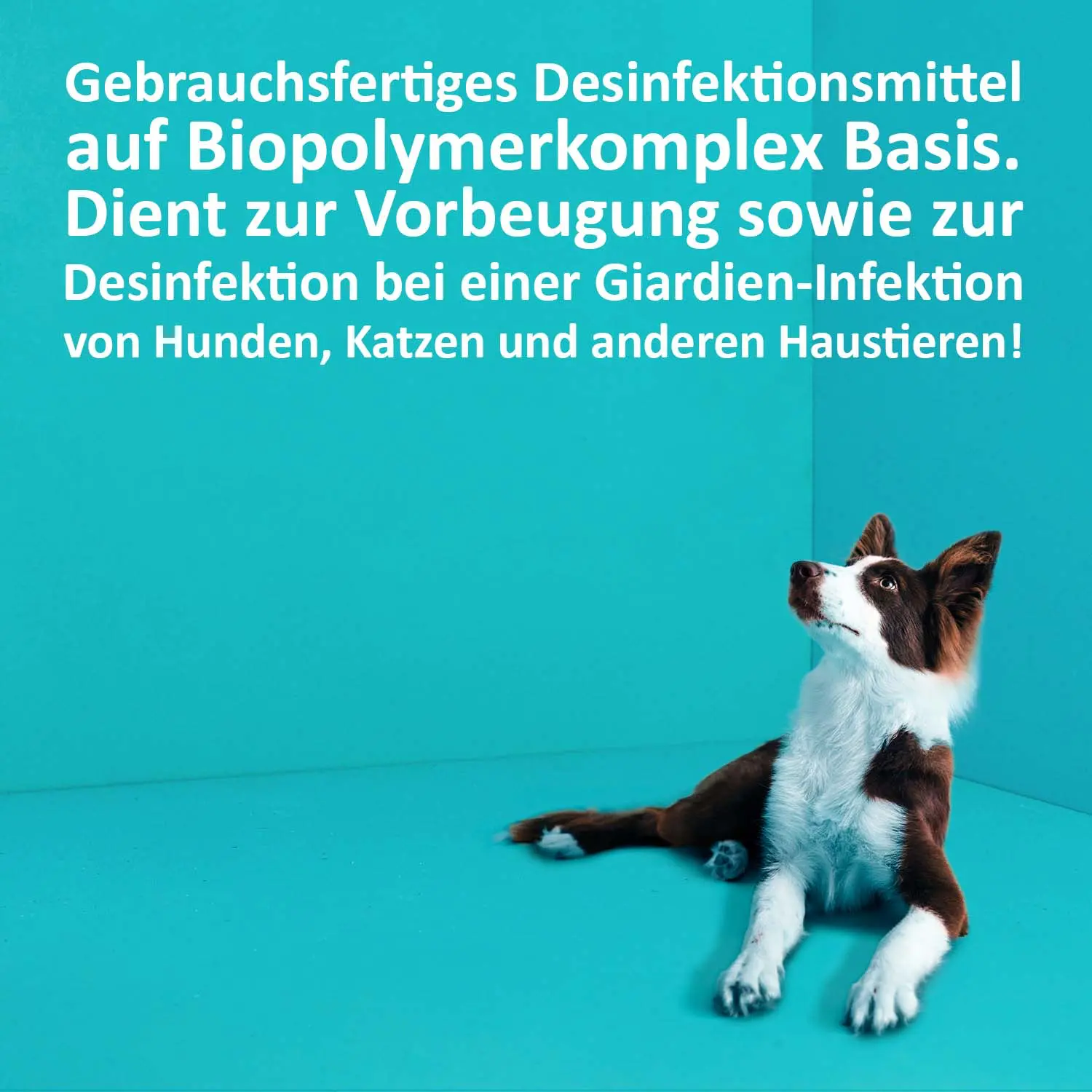 04_Green-Hero_Giardien-Ex_Anwendungsbild Giardien-Ex Spray gegen Giardien, Bakterien, Viren und Pilze