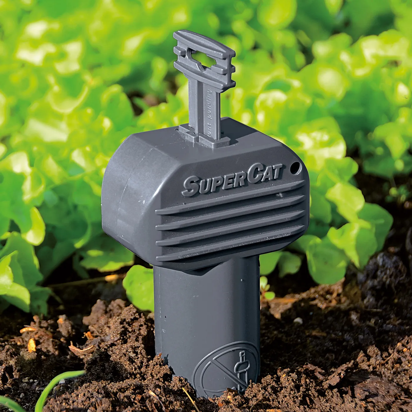 Wühlmausfalle SuperCat zum Fangen von Wühlmäusen Wühlmausfalle SuperCat zum Fangen von Wühlmäusen