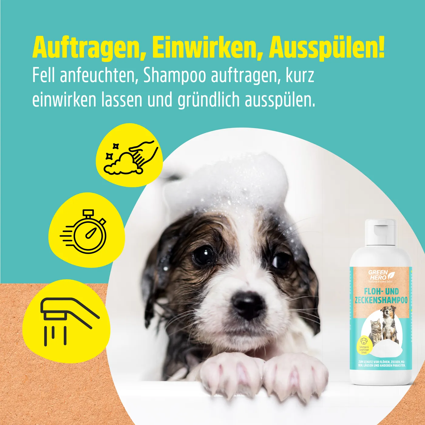 Floh- und Zeckenshampoo für Hunde und Katzen Floh- und Zeckenshampoo für Hunde und Katzen